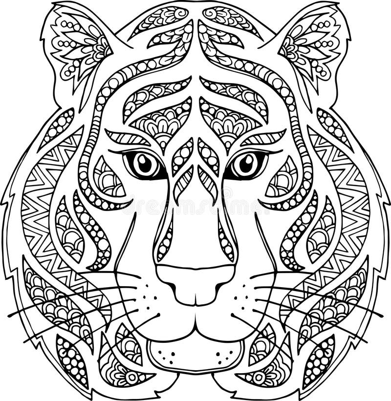 Hand drawn doodle tiger illustration royalty free illustration Hand drawn doodle tiger illustration royalty free illustration