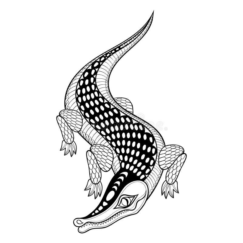 Chameleon Coloring Book for Adults Vector Stock Vector - Illustration of  decor, black: 79389791