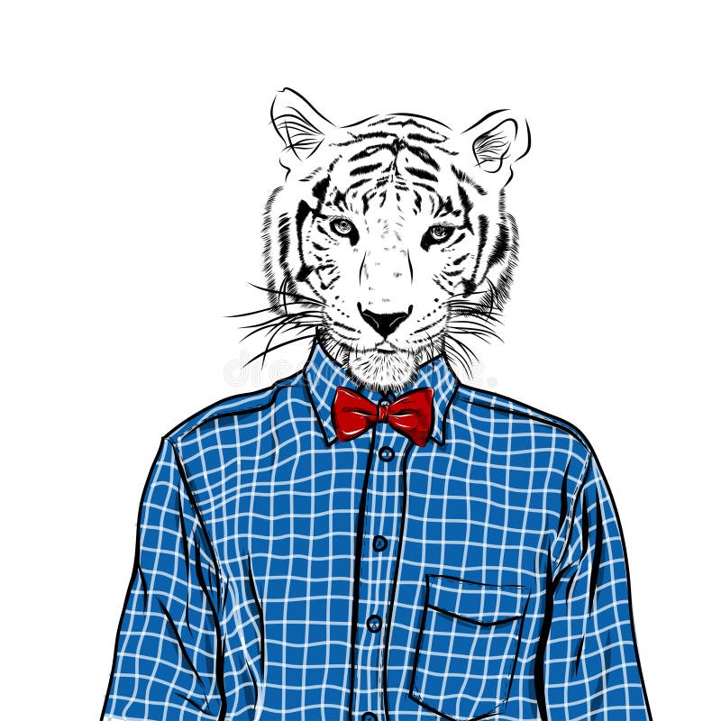 Hand Drawn Fashion Illustration of dressed up tiger, in colors. Vector