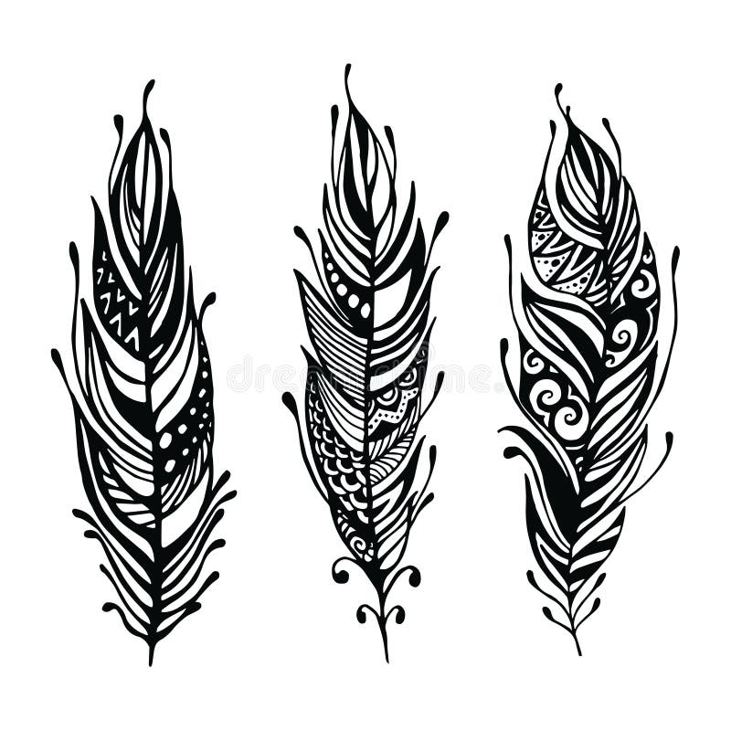 Hand Drawn Feathers. Ink Vector Illustration. Boho Style Design ...