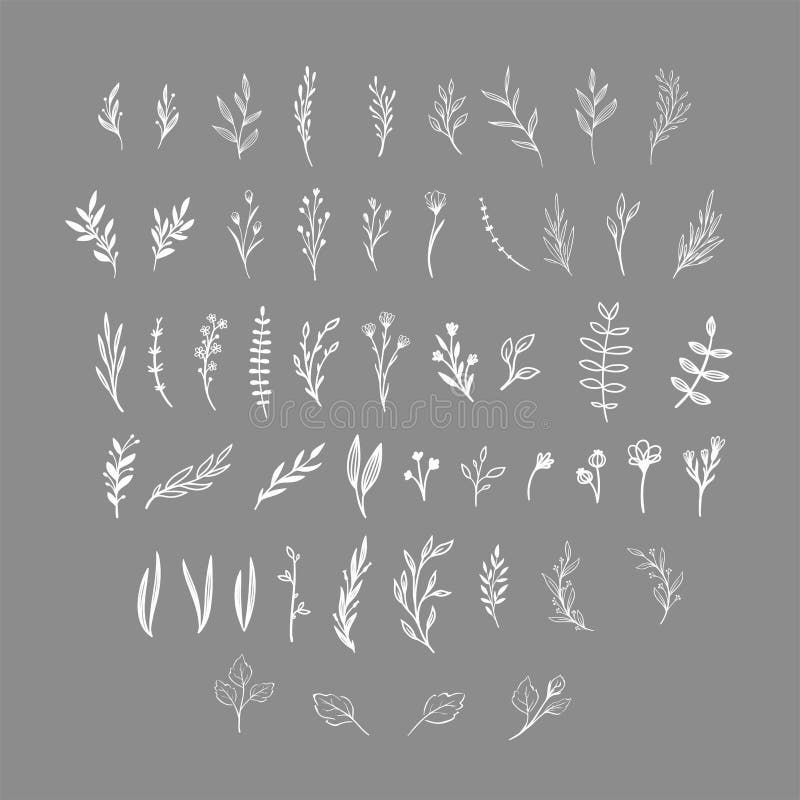 Hand drawn floral vector elements. Wild and free. Perfect for invitations, greeting cards, quotes, blogs, Wedding Frames royalty free illustration Hand drawn floral vector elements. Wild and free. Perfect for invitations, greeting cards, quotes, blogs, Wedding Frames royalty free illustration
