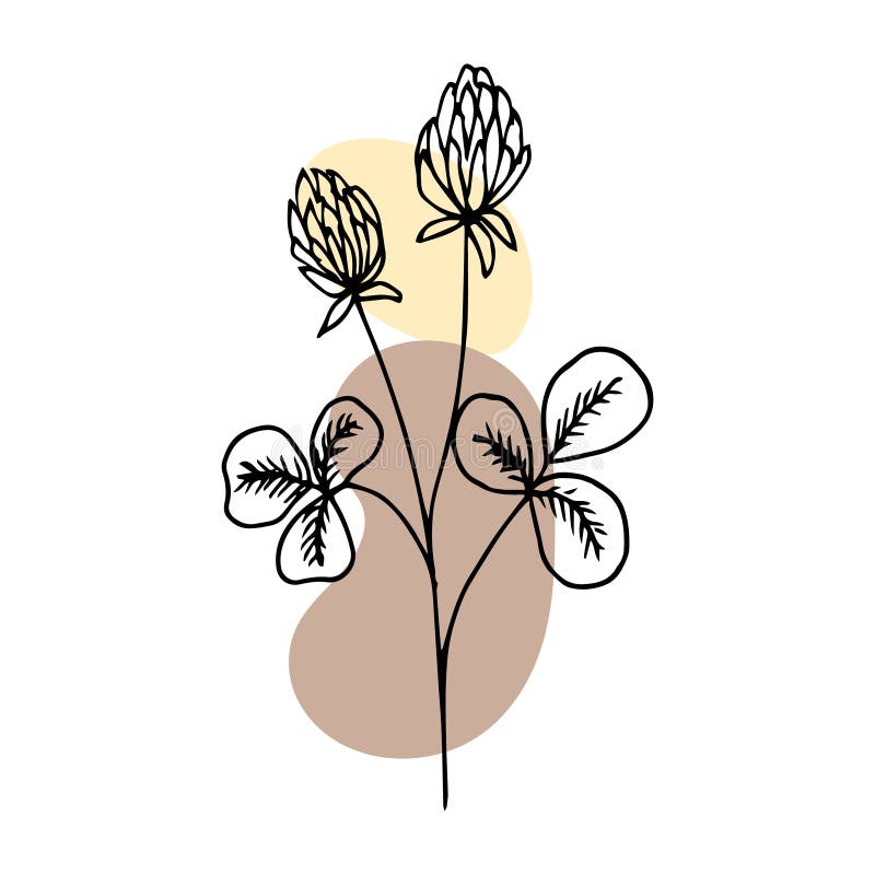 Hand Drawn Flower in Doodle Style, Black Outline with Abstract Color ...