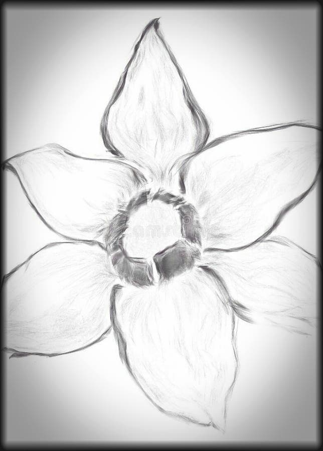 Hand drawn flower sketch stock illustration. Illustration of hand ...