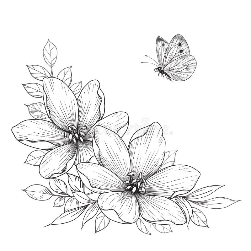 Aggregate more than 143 butterfly with flower drawing
