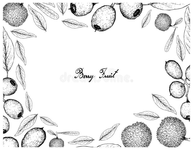 Hand Drawn Frame of Bayberry and Cleistocalyx Operculatus Fruits