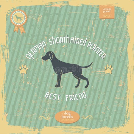 Gsp Dog Vector Stock Illustrations – 19 Gsp Dog Vector Stock