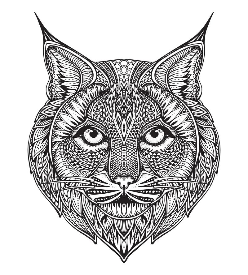 Hand drawn graphic ornate bobcat