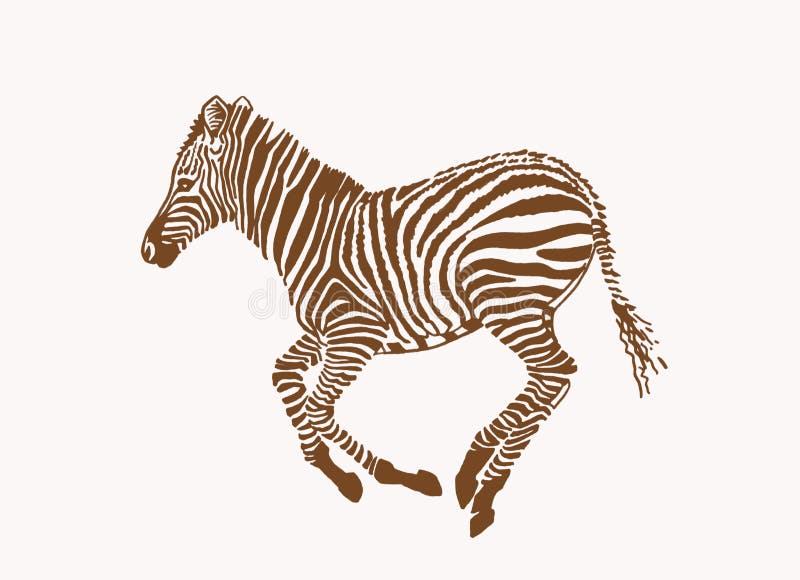 Zebra Running stock vector. Illustration of wildlife, black - 7810257