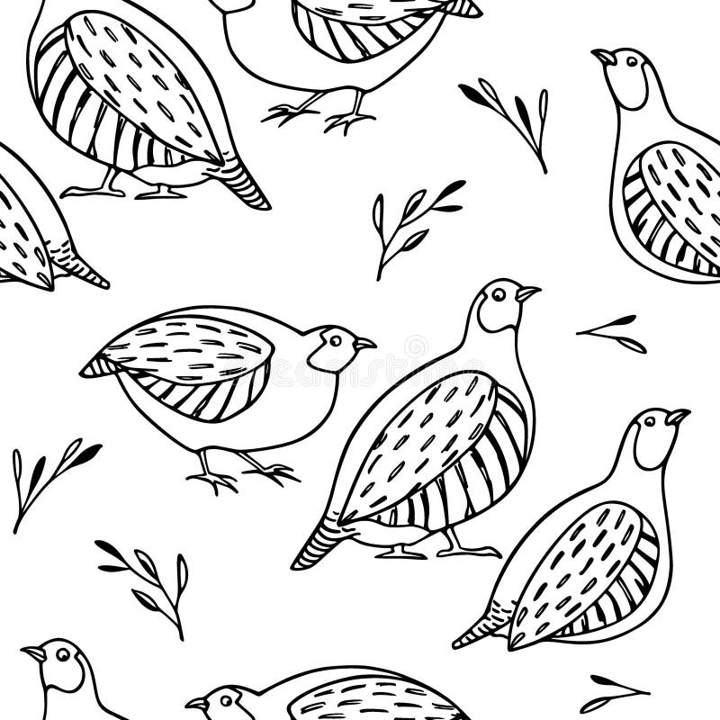 Hand drawn grey partridges seamless pattern royalty free illustration