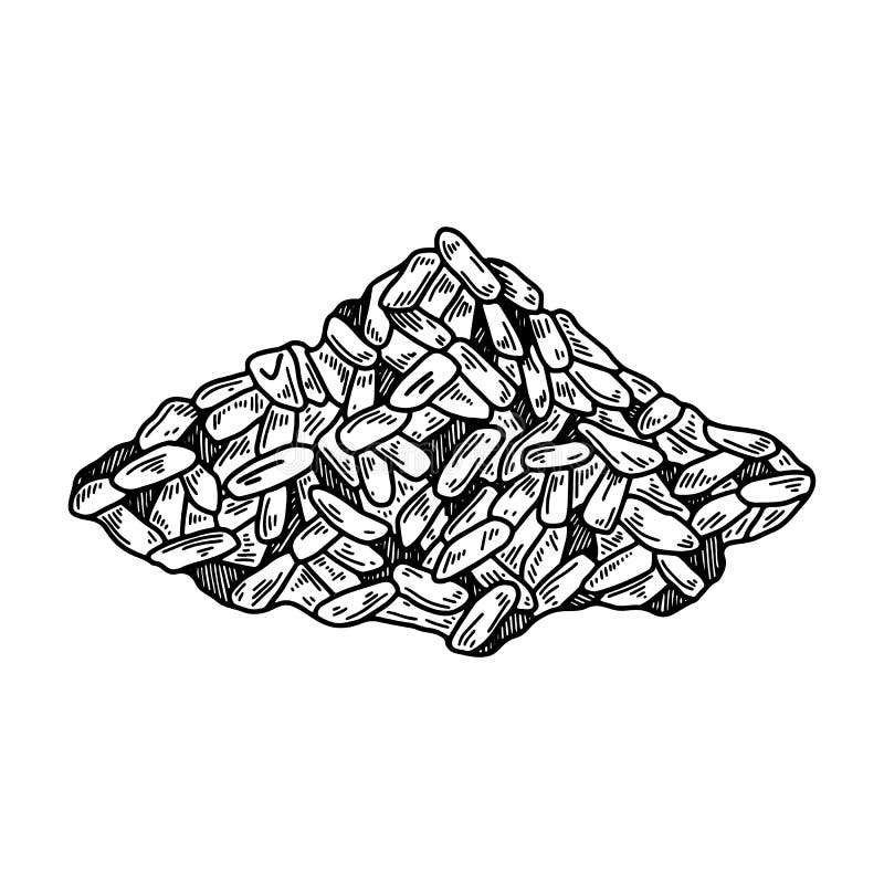 Hand drawn handful of dried sage. Vector illustration in sketch style royalty free illustration