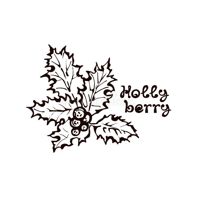 Hand Drawn Holly Berry Leaves with Handwritten Text Stock Vector ...