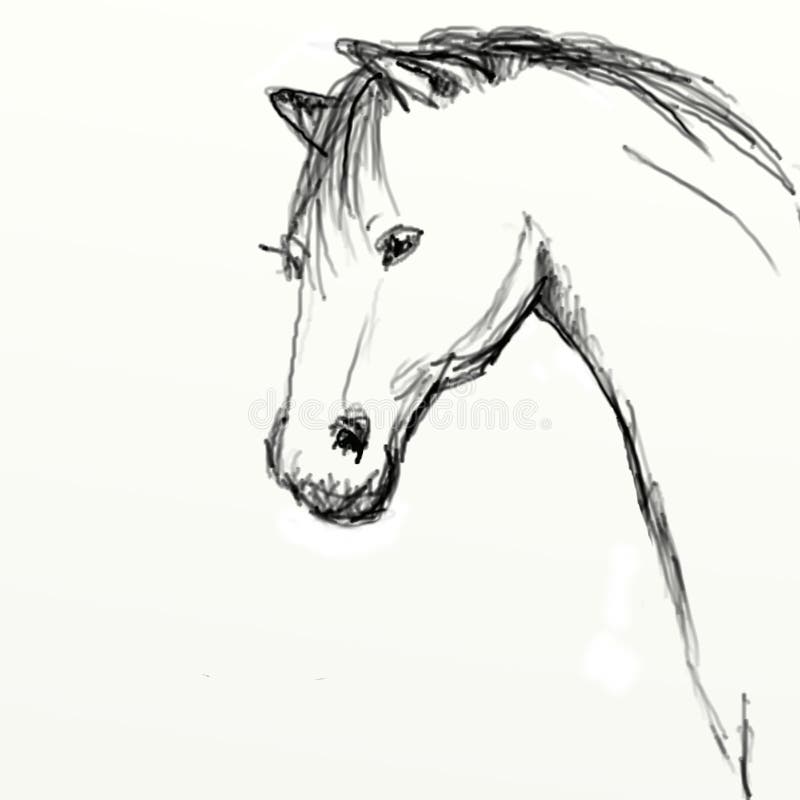 Hand Drawn Horse Head Sketch Stock Illustration - Illustration of hand 