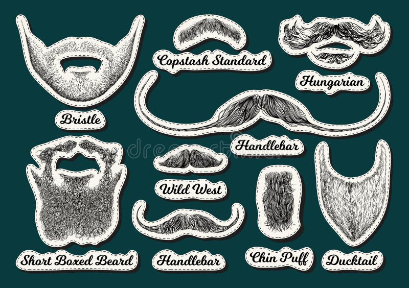 Hair Styles Names Stock Illustrations – 11 Hair Styles Names Stock Illustrations, Vectors & Clipart - Dreamstime Hair Styles Names Stock Illustrations – 11 Hair Styles Names Stock Illustrations, Vectors & Clipart - Dreamstime