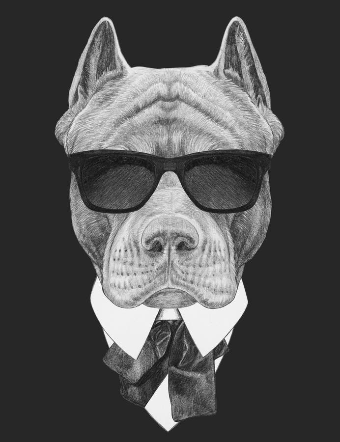 Pet Chihuahua Dog stock illustration. Illustration of graphic - 45296862