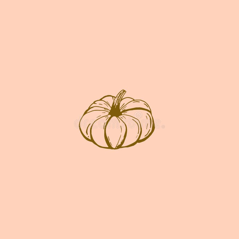 Hand-drawn ink sketch of a wide flat pumpkin on a pink background royalty free illustration