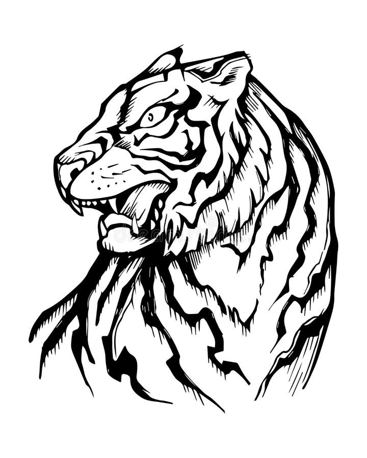 Tiger illustration stock vector. Illustration of mouth - 20659601