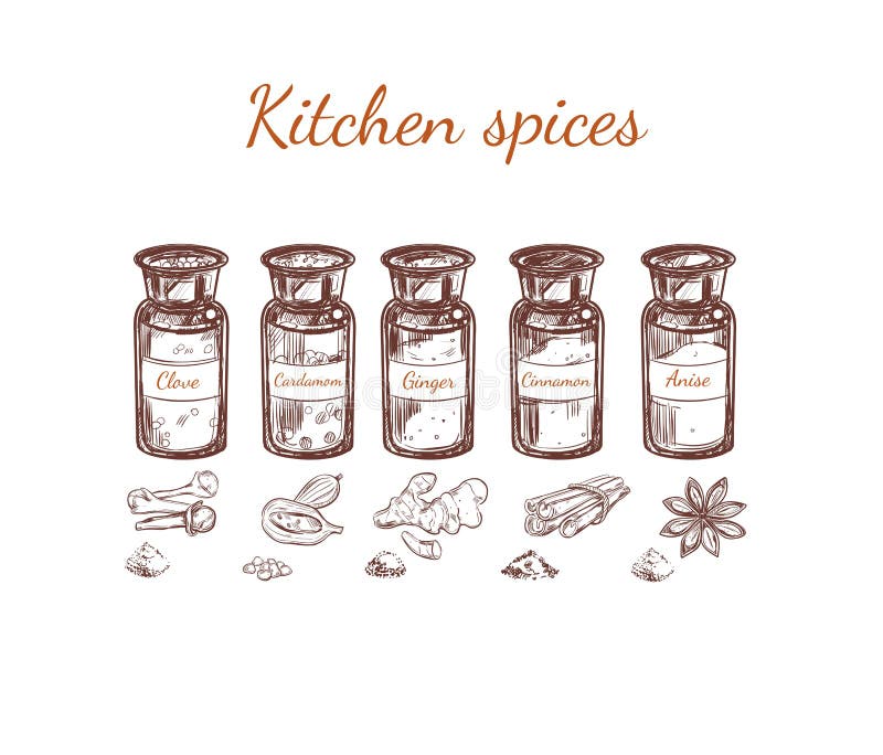 Hand Drawn Kitchen Spices Set