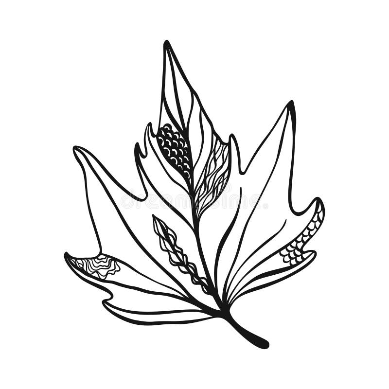 Leaf Branch | Татуировки листьев, Татуировки с цветами, Татуировка растения