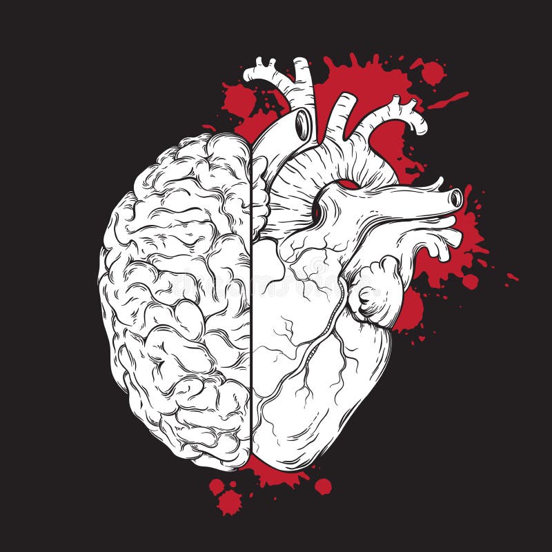 half brain half heart Sticker by katiekaldrovics  Brain tattoo Anatomical heart  tattoo Anatomy tattoo