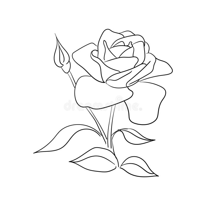 Hand Drawn Line Art Rose Flower Vector Illustration Stock Vector