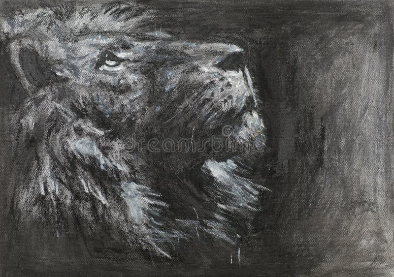Hand drawn lion head royalty free illustration