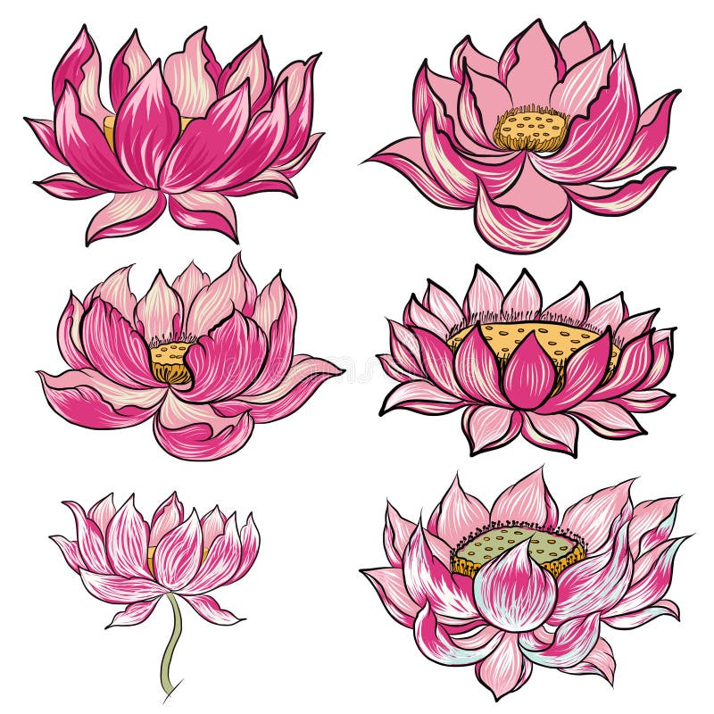 Roma M De trên Instagram Japanese floral pt2  tattoo tattoos tat  ink inked des  Lotus flower tattoo design Japanese flower tattoo Lotus  tattoo design