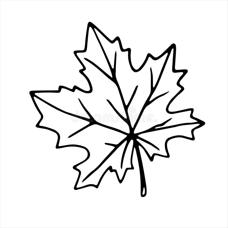 Canada Maple Leaf Outline Images – Browse 5,332 Stock Photos, Vectors, and  Video