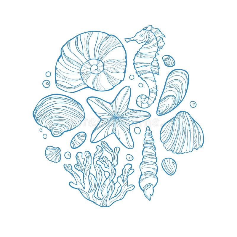 Hand Drawn Aquatic Coral Doodle Vector Illustration. Stock Vector ...
