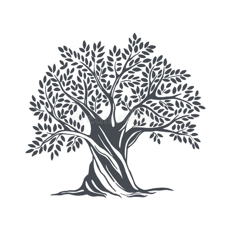 Vector Sketch Olive Tree Stock Illustrations – 3,456 Vector Sketch