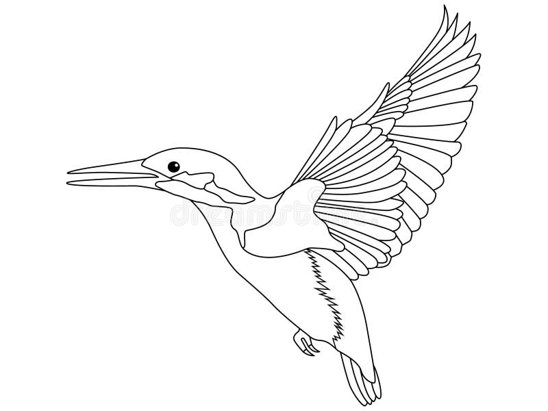 kingfisher New Zealand Bird Cartoon Retro Drawing Canvas Print / Canvas Art  by Aloysius Patrimonio - Pixels Canvas Prints