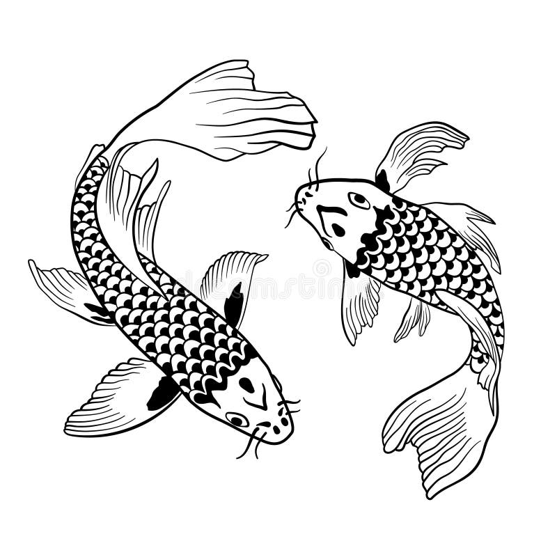 Hand Drawn Outline Koi Fish and Japanese Tattoo. Two Chinese Carp Stock Vector - Illustration of japanese, chinese: 220082792 Hand Drawn Outline Koi Fish and Japanese Tattoo. Two Chinese Carp Stock Vector - Illustration of japanese, chinese: 220082792
