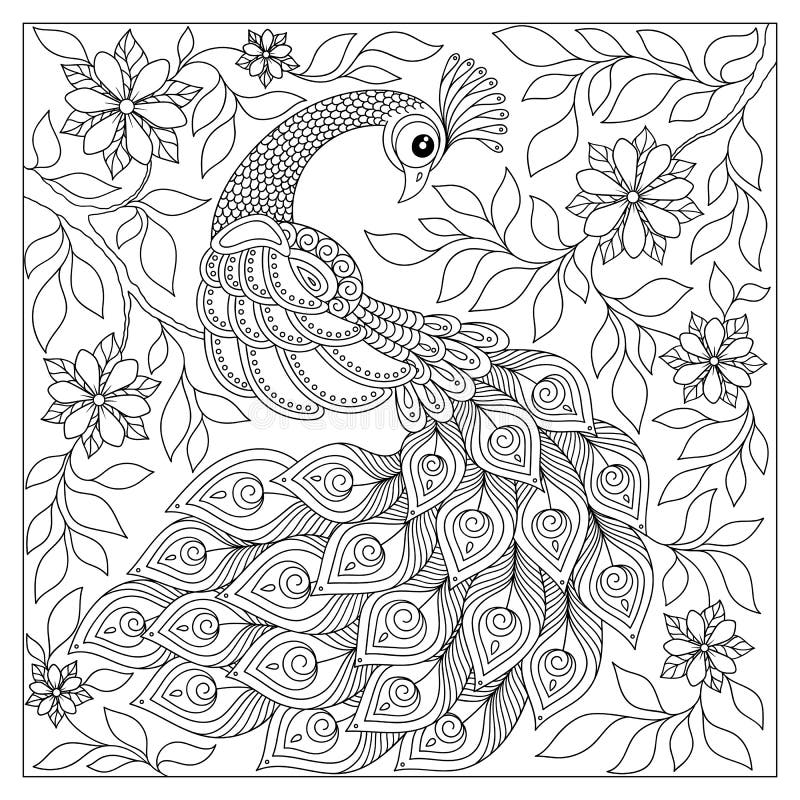 Hand drawn Peacock for anti stress Coloring Page