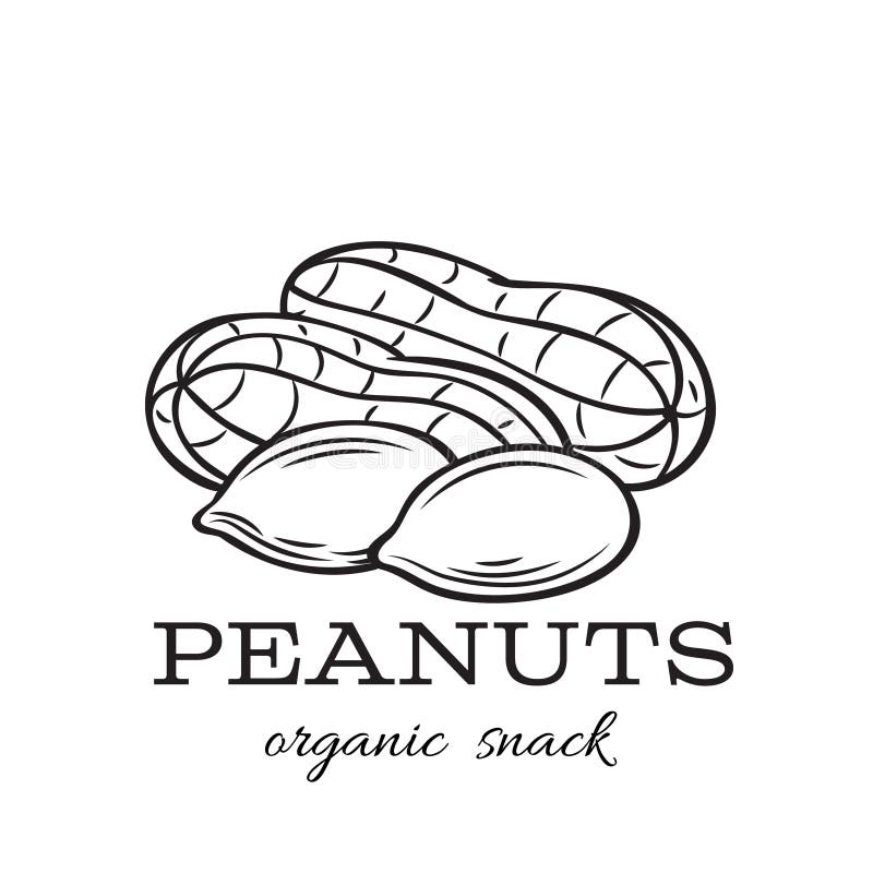 Peanut Nut Clipart Black And White.