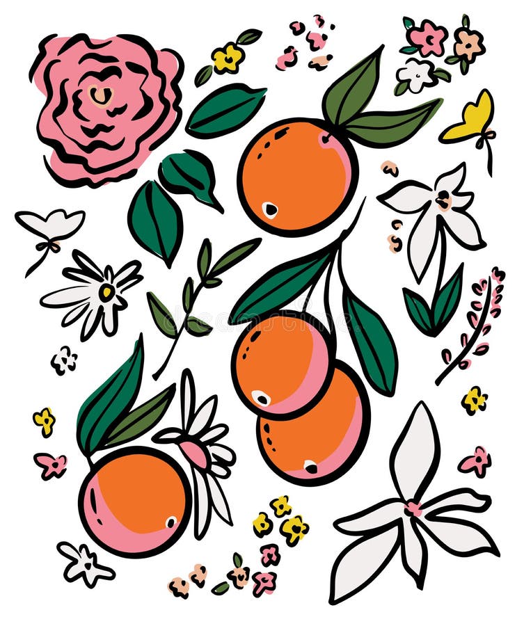 Handdrawn Pen Drawing Orange Fruit and Flower Doodle Illustration