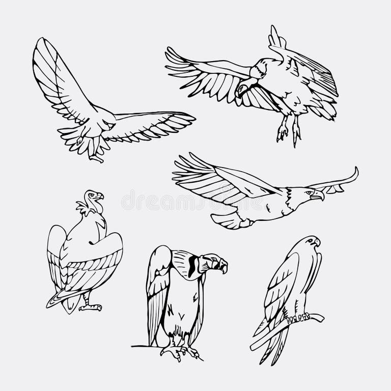Eagle Black White Stencil Stock Illustrations – 523 Eagle Black White
