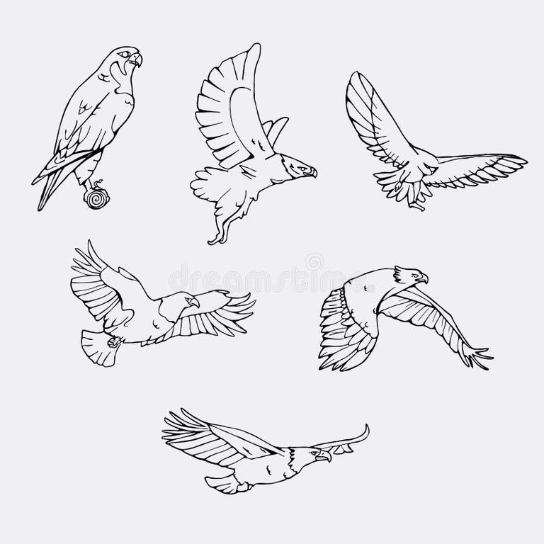Eagle Black White Stencil Stock Illustrations – 523 Eagle Black White