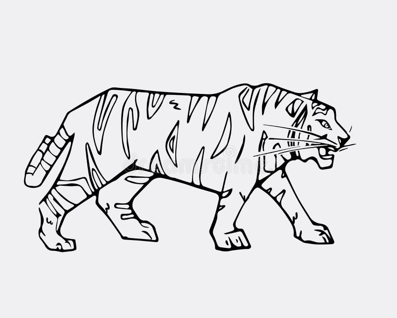 Monochrome Tiger Head Pencil Drawing Stock Illustration  Adobe Stock