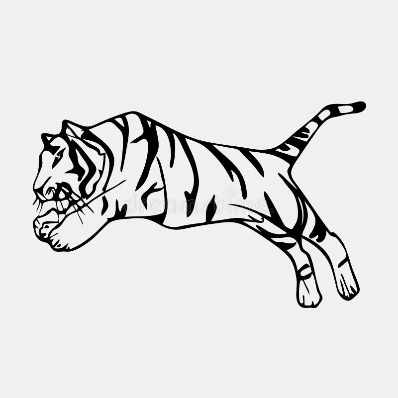 Tiger Pencil Drawing Poster by Smail Jr  Pixels