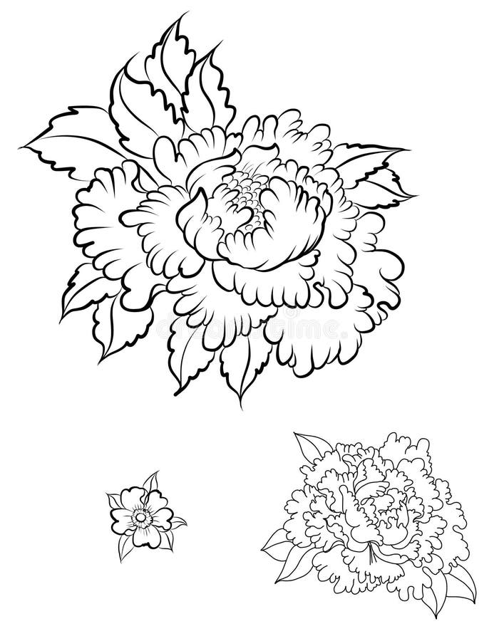 Premium Vector  Black and white graphic flowers peonies tattoo