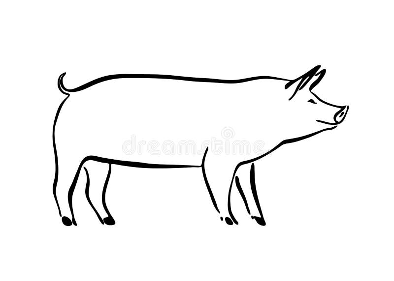 Anteater Outline - Clever Zoo Animal Line Drawing