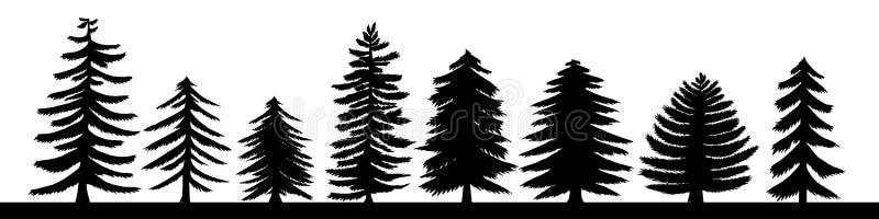 Hand drawn pine tree silhouette set. A variety of coniferous isolated on white background vector illustration.