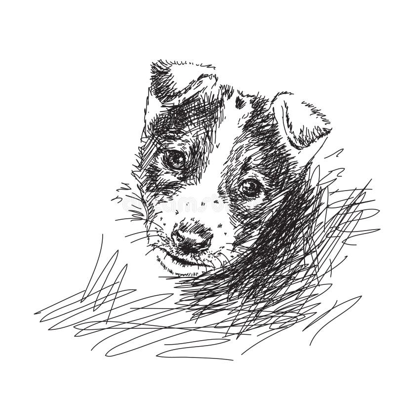 Hand drawn puppy dog stock vector. Illustration of hand - 39643048