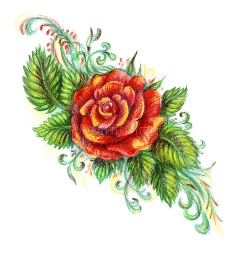 Red rose drawing with Colored Pencils. Red rose drawing with Colored Pencils.