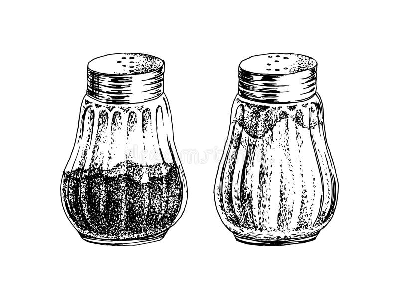 Salt and pepper shaker hand-drawn. Kitchen utensils doodle. Vector  illustration in 2023