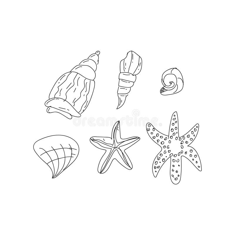 Hand drawn sea shells element doodle art isolated stock illustration