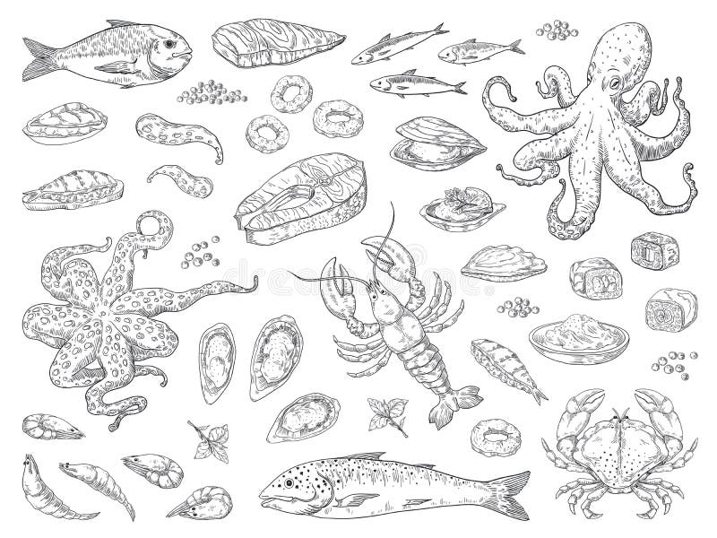 Hand drawn seafood. Octopus squid crab oyster and marine fish sketch drawing for restaurant menu. Vector sea meal vector illustration