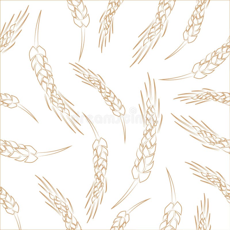 Hand drawn seamless vector wheat spikelets background