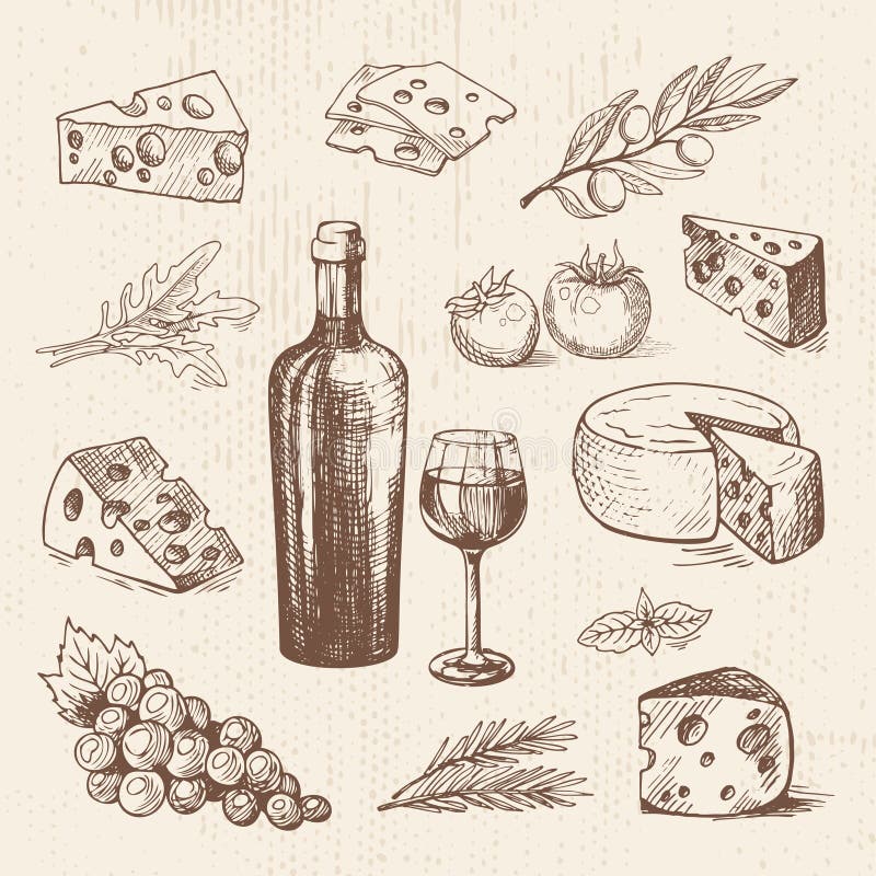 Hand drawn set with bottle of wine, grapes, cheese, olive branch, tomatoes, greens. Vector sketch, food illustration