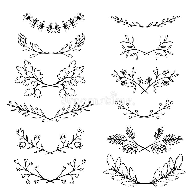 Hand drawn set of floral, plant elements