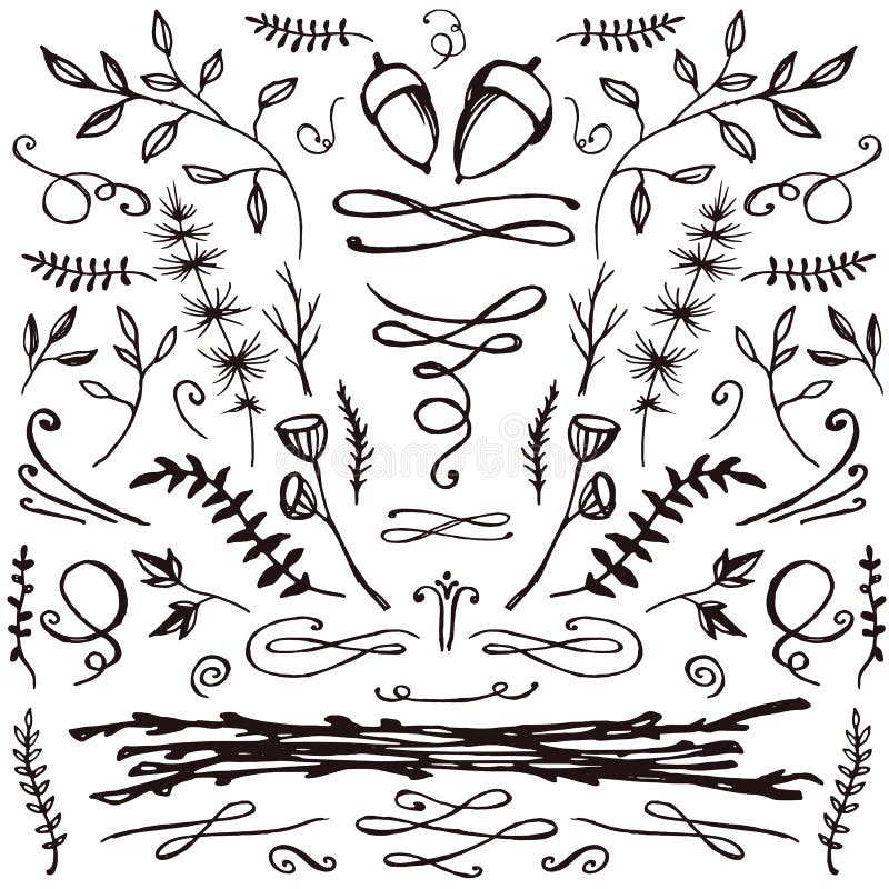 Hand-drawn set of florals and flourishes royalty free illustration Hand-drawn set of florals and flourishes royalty free illustration